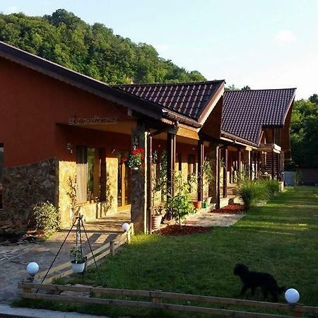 Pensiunea Raiul Muntilor Sebiş Exterior foto
