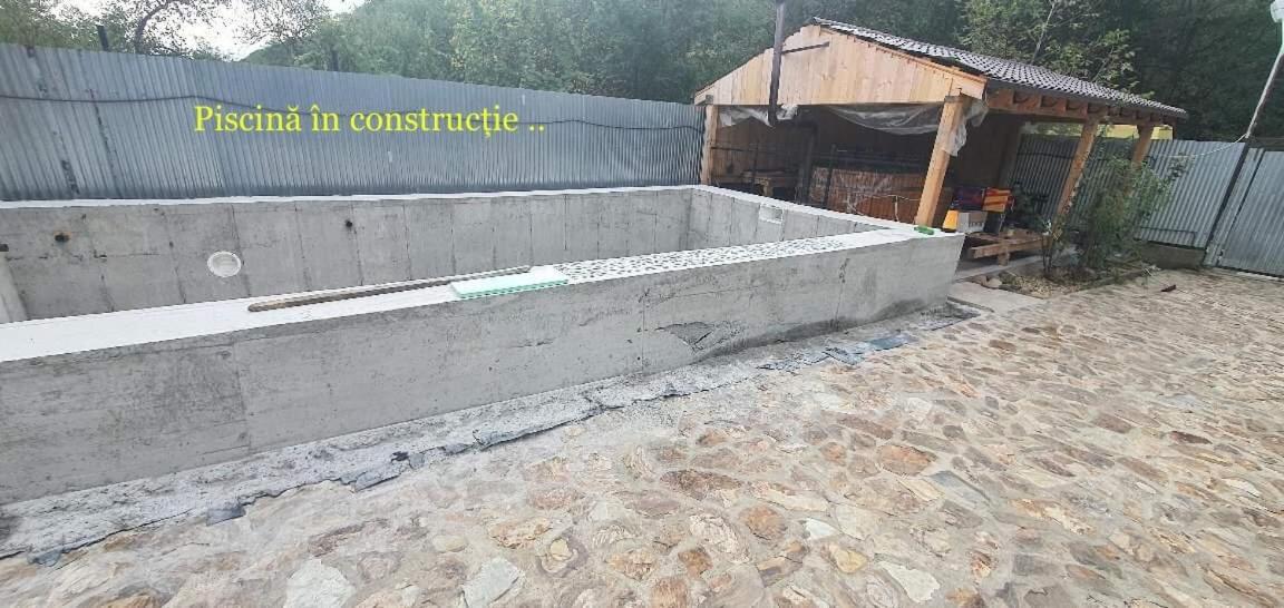 Pensiunea Raiul Muntilor Sebiş Exterior foto
