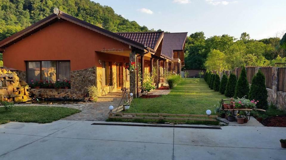 Pensiunea Raiul Muntilor Sebiş Exterior foto