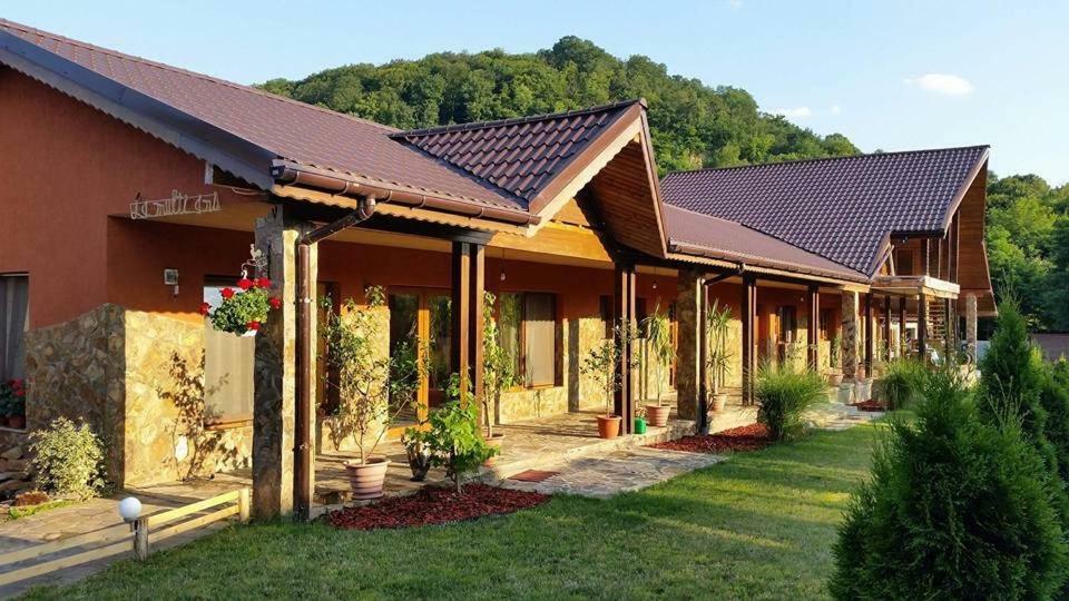 Pensiunea Raiul Muntilor Sebiş Exterior foto