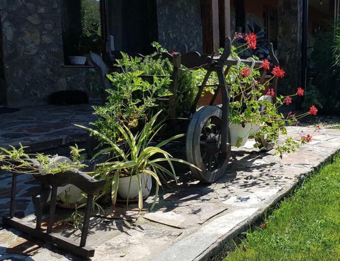 Pensiunea Raiul Muntilor Sebiş Exterior foto